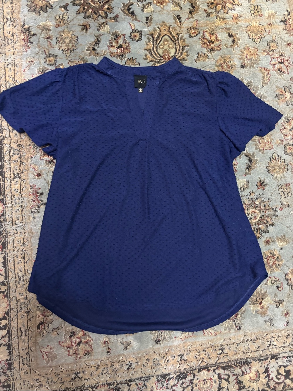 W5 Anthropologie Women's Royal Blue Textured Short Sleeve V-Notch Boho Blouse